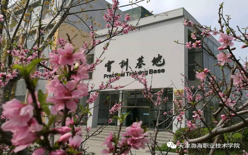 河北歷史類考生排多少名可以上天津渤海職業(yè)技術學院電子商務專業(yè)?