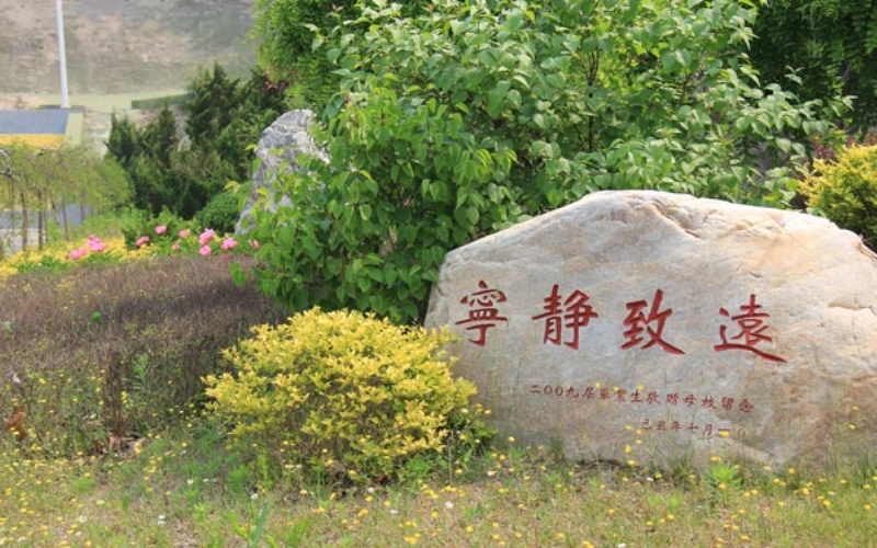 大連軟件職業(yè)學院大數(shù)據(jù)技術(shù)專業(yè)在河北招生錄取分數(shù)(物理類)：378分