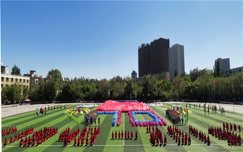 2022年新疆大學(xué)在西藏招生專業(yè)及招生人數(shù)匯總（2023考生參考）