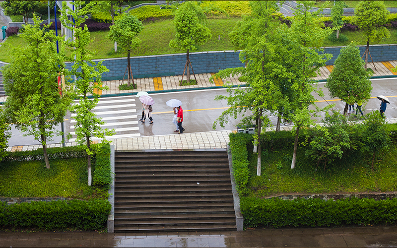 2023年四川文理學(xué)院在寧夏錄取批次及錄取分?jǐn)?shù)參考