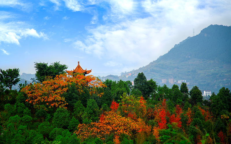 河北歷史類考生排多少名可以上四川文理學(xué)院城鄉(xiāng)規(guī)劃專業(yè)?