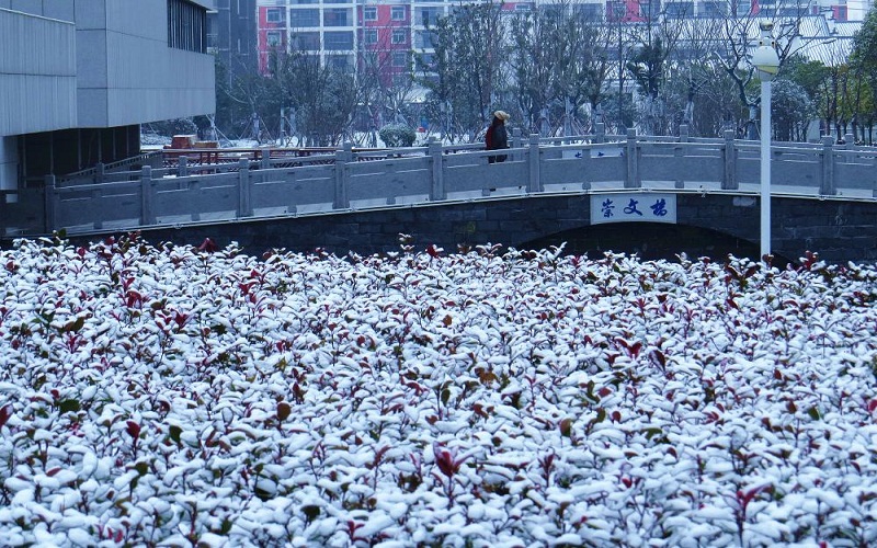 安徽國際商務(wù)職業(yè)學(xué)院市場營銷專業(yè)在河北招生錄取分?jǐn)?shù)(歷史類)：213分