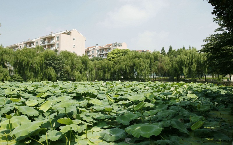 安徽交通職業(yè)技術(shù)學(xué)院道路與橋梁工程技術(shù)專業(yè)在河北招生錄取分?jǐn)?shù)(歷史類)：308分