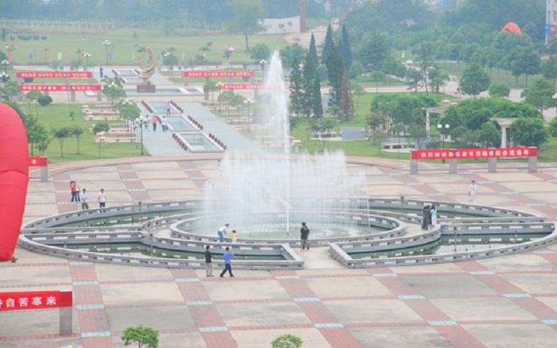 六安職業(yè)技術(shù)學(xué)院嬰幼兒托育服務(wù)與管理專業(yè)在河北招生錄取分?jǐn)?shù)(歷史類)：316分