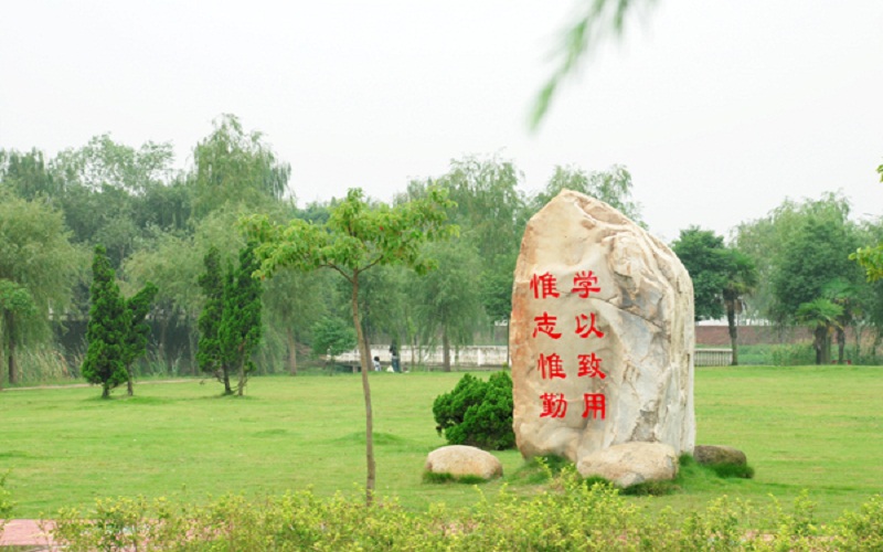 六安職業(yè)技術(shù)學(xué)院園林技術(shù)專業(yè)在河北招生錄取分?jǐn)?shù)(歷史類)：204分