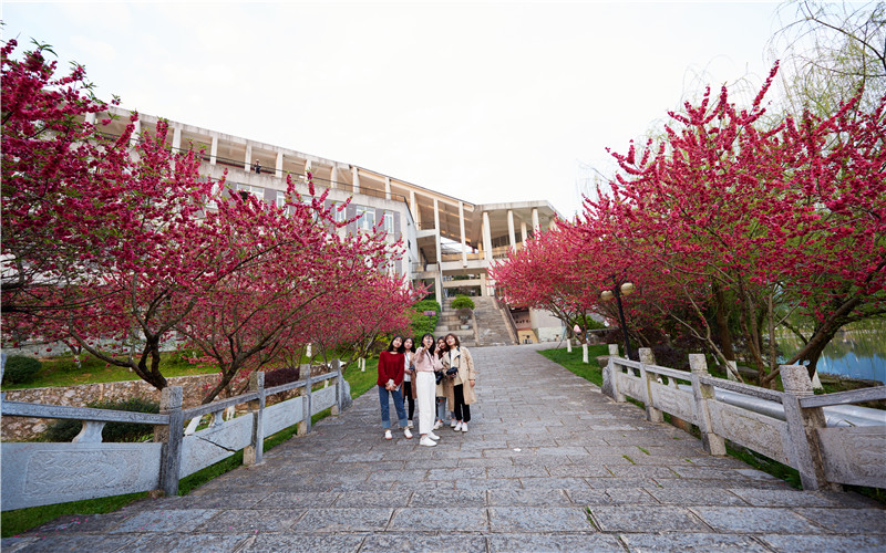 桂林電子科技大學(xué)信息科技學(xué)院軟件工程專業(yè)在遼寧招生錄取分?jǐn)?shù)(物理類)：421分