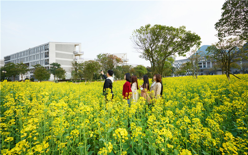 2023年桂林電子科技大學(xué)信息科技學(xué)院各歷史類專業(yè)在重慶招生分?jǐn)?shù)是多少？