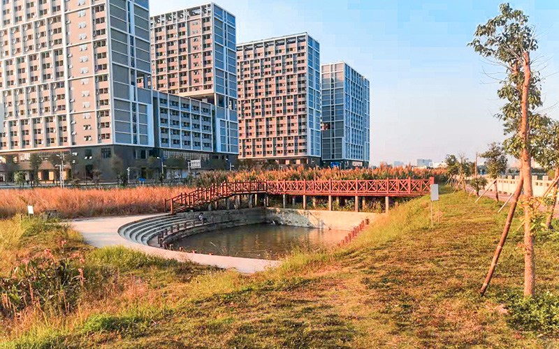 山東綜合考生排多少名可以上深圳技術(shù)大學(xué)集成電路設(shè)計(jì)與集成系統(tǒng)專(zhuān)業(yè)?