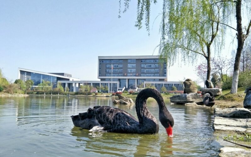 2023年中國藥科大學(xué)在北京招生專業(yè)及招生人數(shù)匯總(2024考生參考)