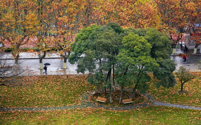 江蘇科技大學(xué)土木工程（非定向）專業(yè)錄取分數(shù)線【廣東高考物理類】