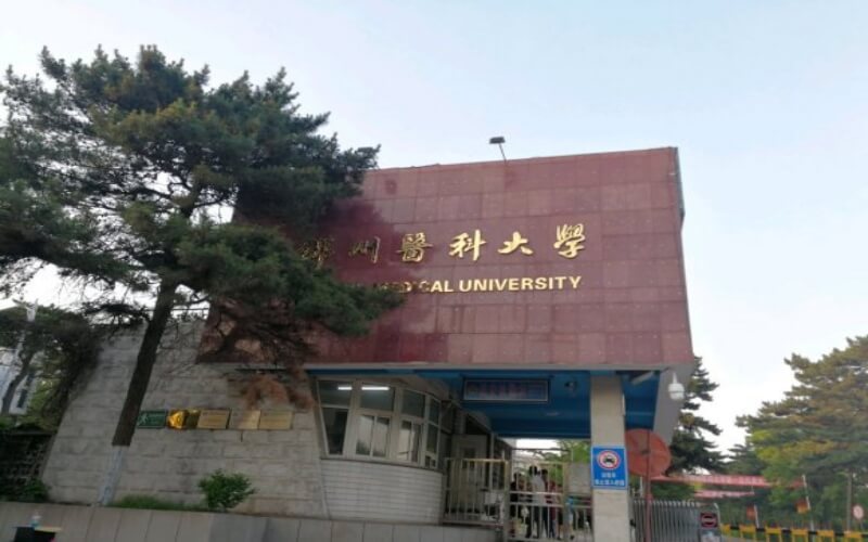 山東綜合考生排多少名可以上錦州醫(yī)科大學(xué)食品科學(xué)與工程專業(yè)?