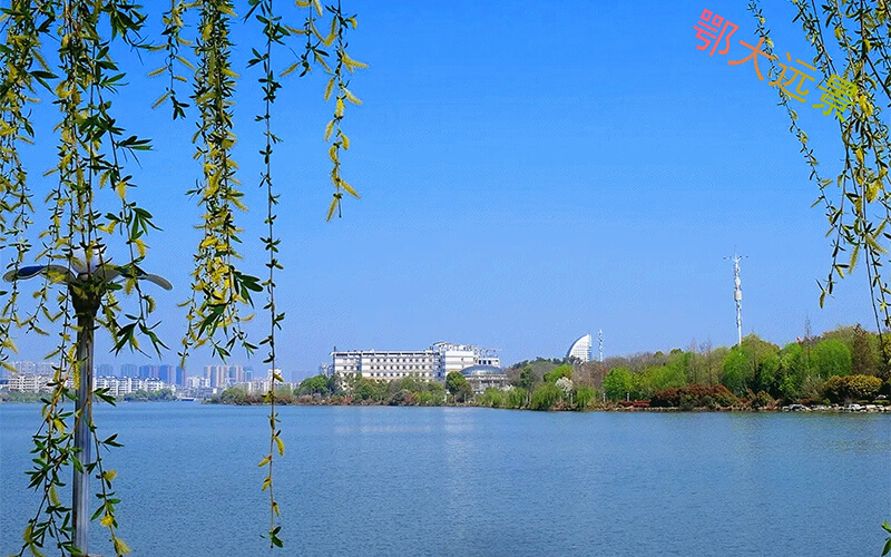 2023年鄂州職業(yè)大學在甘肅錄取批次及錄取分數(shù)參考