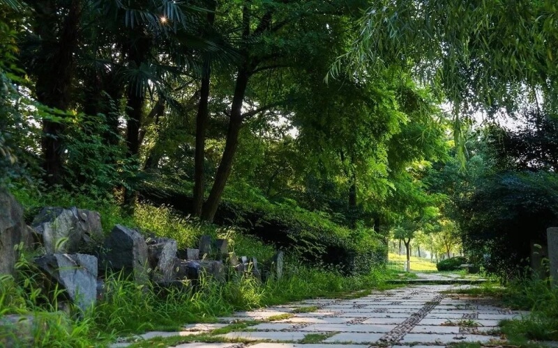 浙江綜合考生排多少名可以上中南財(cái)經(jīng)政法大學(xué)公共管理類專業(yè)?