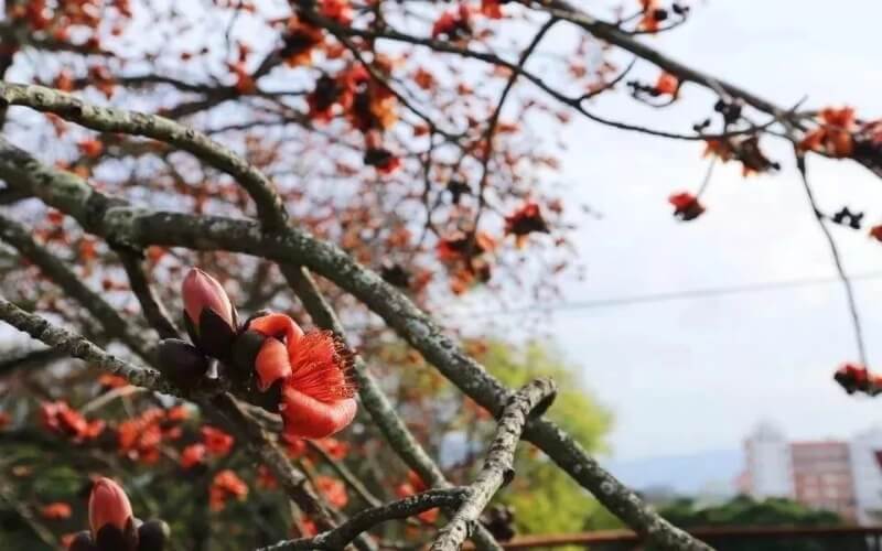 閩南師范大學(xué)數(shù)學(xué)與應(yīng)用數(shù)學(xué)（師范類）專業(yè)在山東招生錄取分?jǐn)?shù)(綜合)：522分