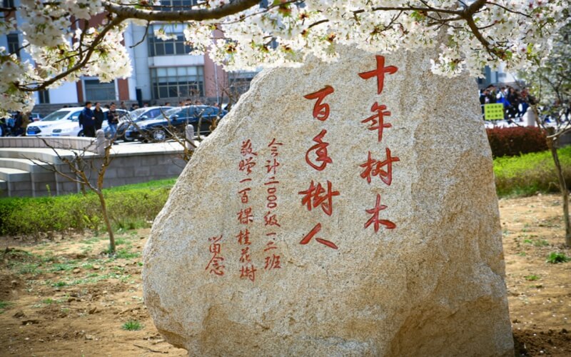 青島農(nóng)業(yè)大學(xué)計(jì)算機(jī)科學(xué)與技術(shù)專業(yè)（二 ）錄取分?jǐn)?shù)線【山東高考綜合】