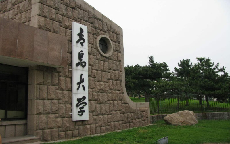 青島大學(xué)行政管理（地方專項(xiàng)計(jì)劃）專業(yè)在山東招生錄取分?jǐn)?shù)(綜合)：553分