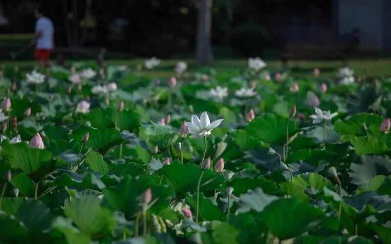 廣西理科考生排多少名可以上海南大學(xué)生物科學(xué)專業(yè)?