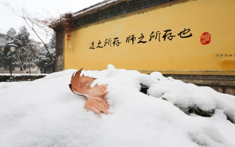 山東綜合考生排多少名可以上曲阜師范大學(xué)物流管理（地方專項計劃）專業(yè)?