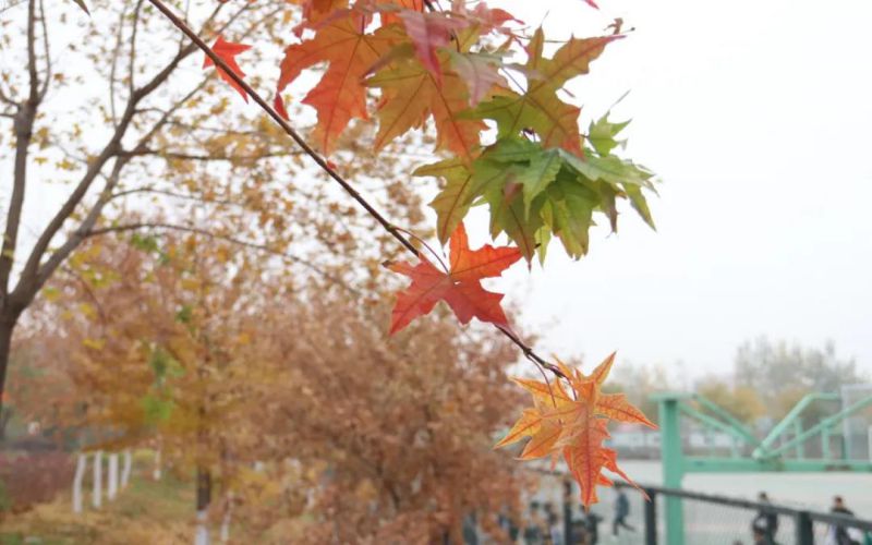 山東綜合考生排多少名可以上山西傳媒學(xué)院戲劇影視文學(xué)專業(yè)?