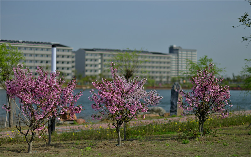 南京師范大學(xué)中北學(xué)院電氣工程及其自動化專業(yè)在山東招生錄取分?jǐn)?shù)(綜合)：470分