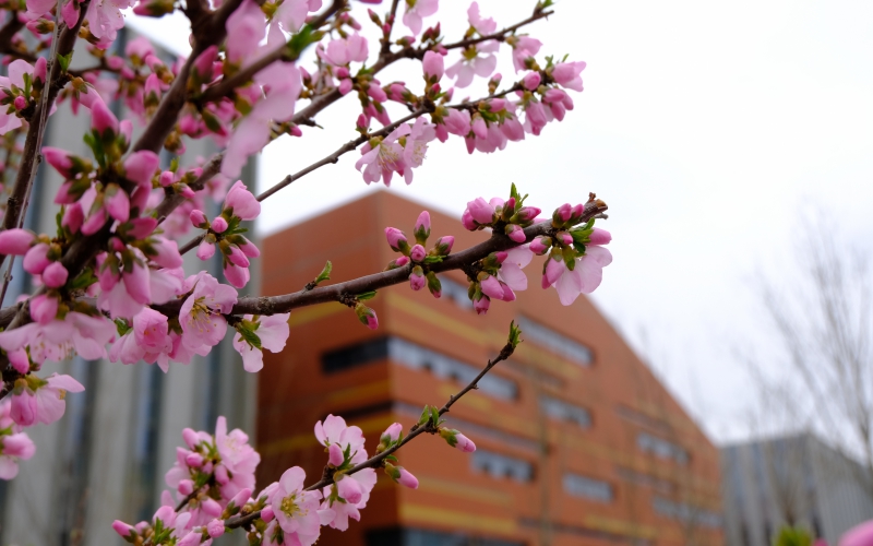 中國石油大學(xué)（北京）克拉瑪依校區(qū)經(jīng)濟(jì)學(xué)類專業(yè)在山東招生錄取分?jǐn)?shù)(綜合)：561分