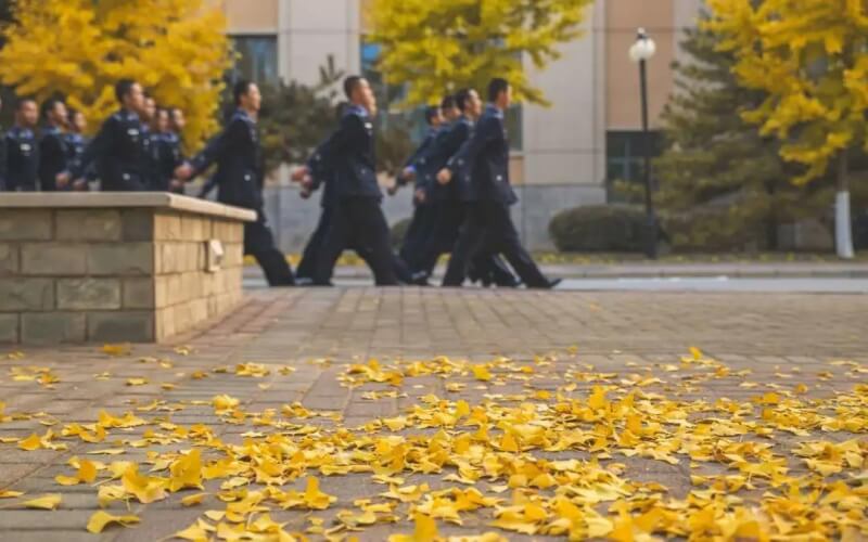 中國人民公安大學交通管理工程專業(yè)在內(nèi)蒙古招生么？多少分可以上？