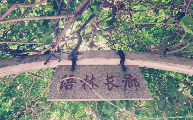 唐山學(xué)院財(cái)務(wù)管理專業(yè)錄取分?jǐn)?shù)線【陜西高考文科】