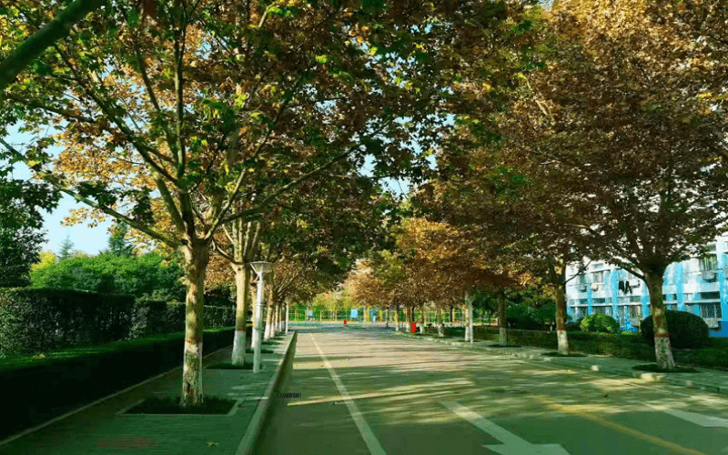 重慶物理類考生排多少名可以上陜西服裝工程學(xué)院小學(xué)教育專業(yè)?