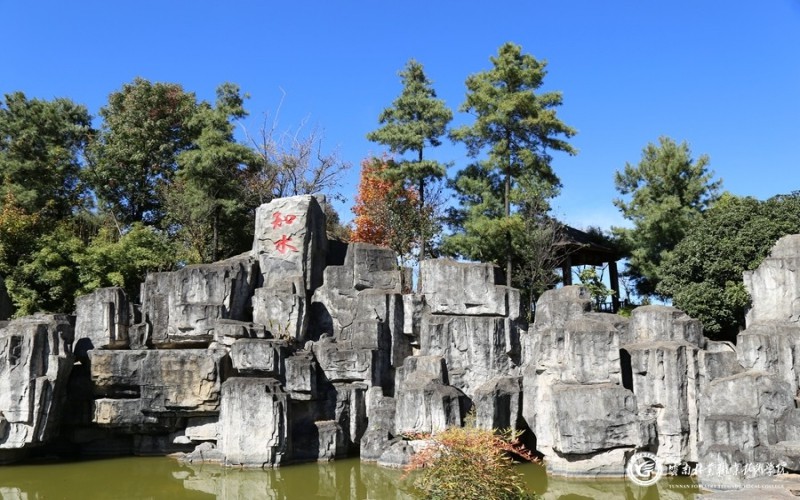 2023年云南林業(yè)職業(yè)技術(shù)學(xué)院在福建招生專業(yè)及招生人數(shù)匯總(2024考生參考)