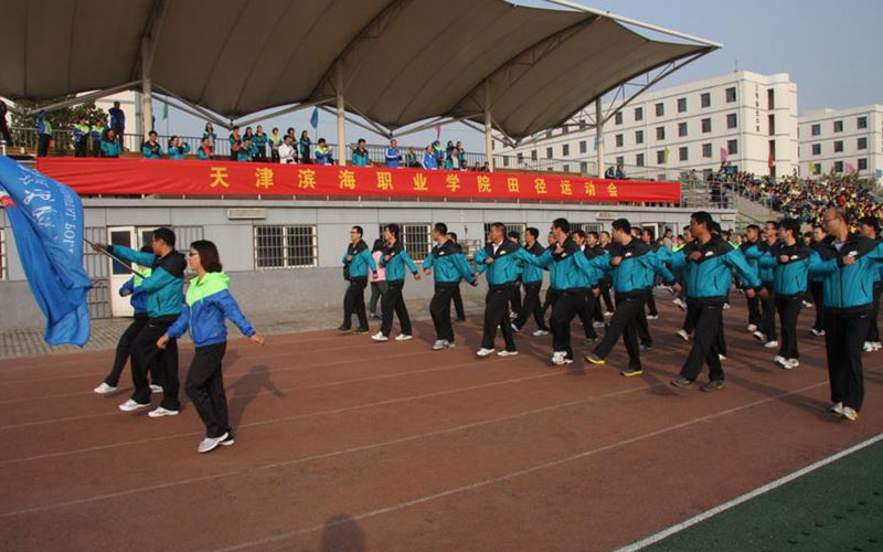 天津濱海職業(yè)學院電子商務專業(yè)在內(nèi)蒙古招生錄取分數(shù)(文科)：225分