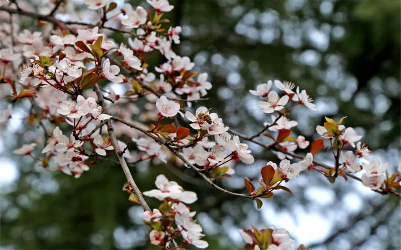 重慶物理類考生排多少名可以上重慶信息技術(shù)職業(yè)學(xué)院廣播影視節(jié)目制作專業(yè)?