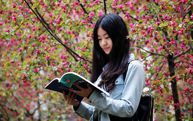 山西農(nóng)業(yè)大學電氣工程及其自動化專業(yè)在山東招生錄取分數(shù)(綜合)：510分