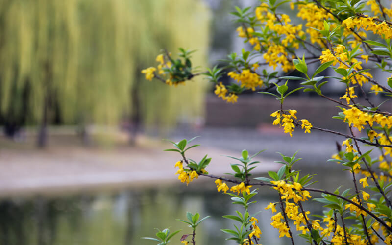 山東綜合考生排多少名可以上南陽理工學(xué)院生物工程專業(yè)?