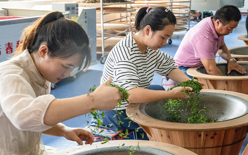 2023年湖北生態(tài)工程職業(yè)技術(shù)學(xué)校在河南招生專業(yè)及招生人數(shù)匯總