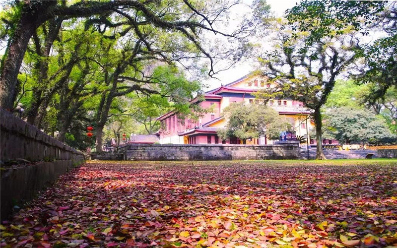 2023年山東考生多少分可以上廣西師范大學(xué)漢語(yǔ)言文學(xué)（師范類(lèi)）專(zhuān)業(yè)？