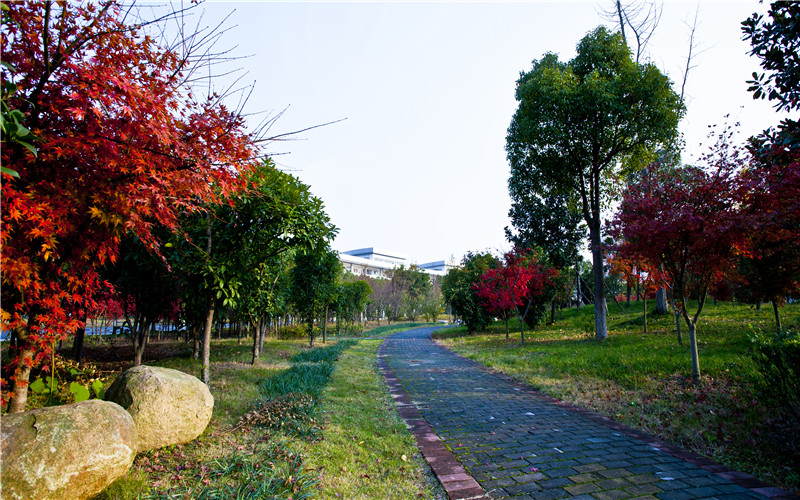 山東綜合考生排多少名可以上常州信息職業(yè)技術(shù)學(xué)院會(huì)計(jì)信息管理專業(yè)?