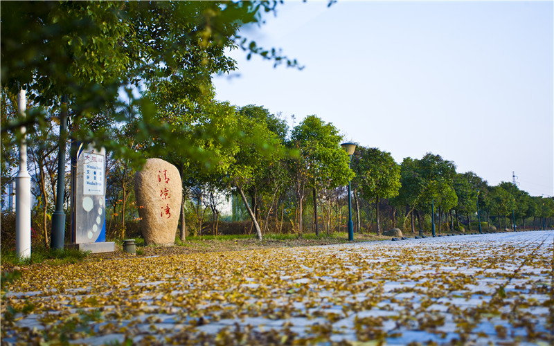 多少分可以上常州信息職業(yè)技術(shù)學院？常州信息職業(yè)技術(shù)學院2022年在湖南各招生專業(yè)錄取分數(shù)匯總