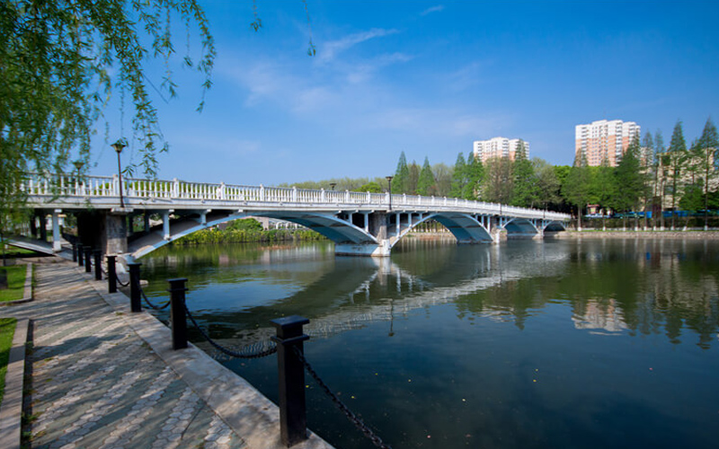 中國地質(zhì)大學(xué)（武漢）數(shù)學(xué)類專業(yè)在浙江招生么？多少分可以上？