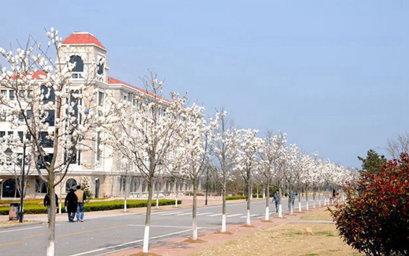 內(nèi)蒙古文科考生排多少名可以上青島港灣職業(yè)技術(shù)學(xué)院軟件技術(shù)專業(yè)?