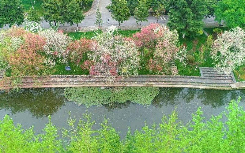 山東綜合考生排多少名可以上三峽大學(xué)醫(yī)學(xué)影像學(xué)專業(yè)?