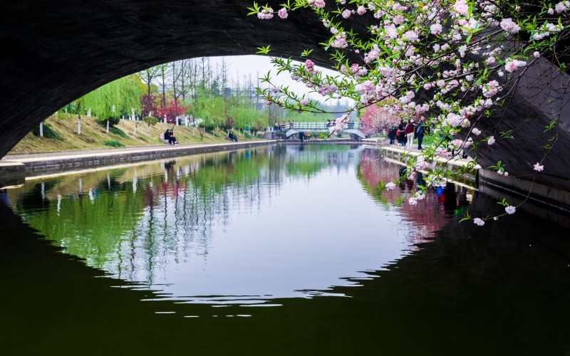 三峽大學(xué)少數(shù)民族預(yù)科班專業(yè)在遼寧招生錄取分數(shù)(物理類)：529分