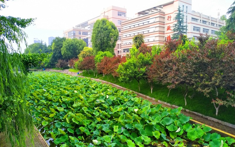 2023年三峽大學(xué)在廣東招生專業(yè)及招生人數(shù)匯總