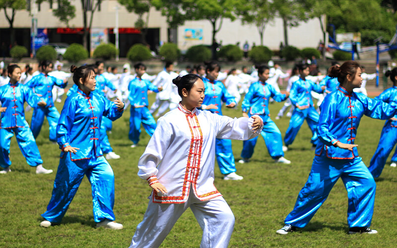 2024考生參考：2023武漢職業(yè)技術(shù)學(xué)院軟件技術(shù)專業(yè)在內(nèi)蒙古招生錄取分?jǐn)?shù)及錄取位次