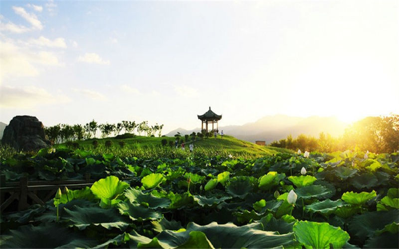 2023年福建中醫(yī)藥大學(xué)在江蘇招生專業(yè)及招生人數(shù)匯總