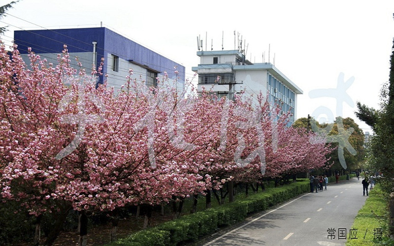 貴州民族大學環(huán)境科學與工程類專業(yè)錄取分數(shù)線【河北高考物理類】