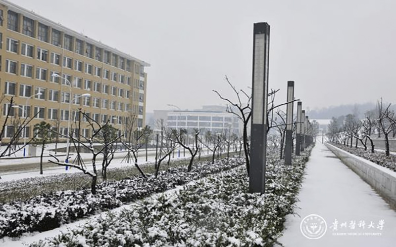 浙江綜合考生排多少名可以上貴州醫(yī)科大學(xué)衛(wèi)生檢驗(yàn)與檢疫專業(yè)?