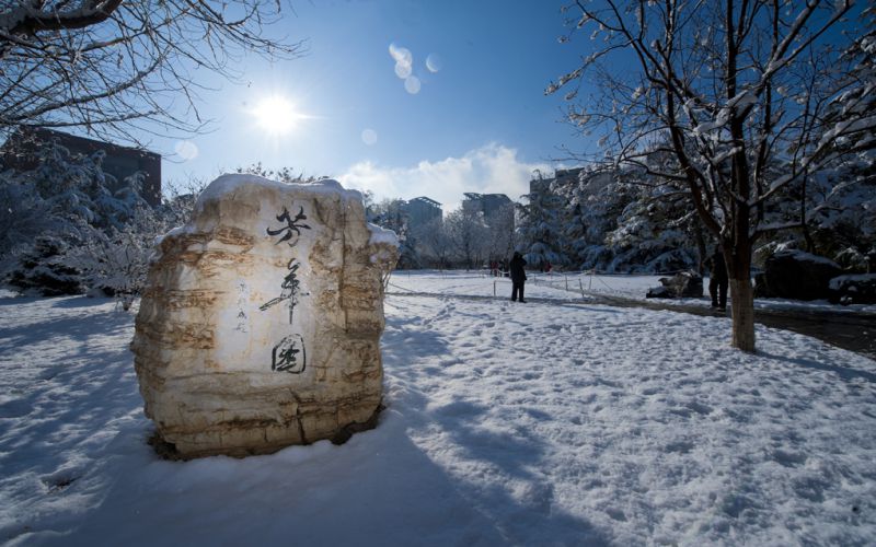 北京交通大學信息管理與信息系統(tǒng)專業(yè)錄取分數(shù)線【廣西高考理科】