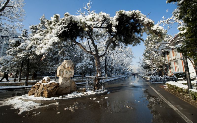 北京交通大學(xué)土木類（智慧建造與智能工程）專業(yè)在內(nèi)蒙古招生錄取分?jǐn)?shù)(理科)：580分