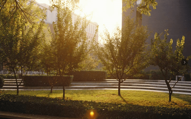 北京林業(yè)大學(xué)金融學(xué)（中外合作辦學(xué)）專業(yè)在重慶招生么？多少分可以上？