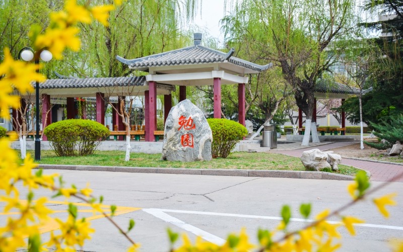 重慶物理類考生排多少名可以上天津職業(yè)技術(shù)師范大學(xué)自動(dòng)化專業(yè)?